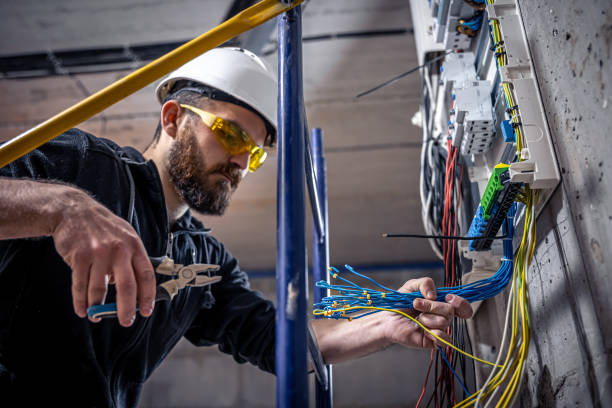 Best Ceiling Fan Installation Electrician  in Lan, MI