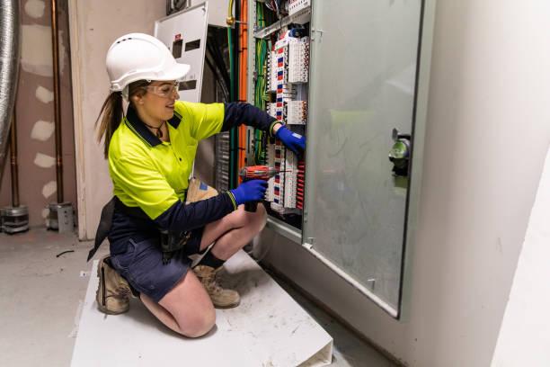 Best Electrical Rewiring Services  in Lan, MI