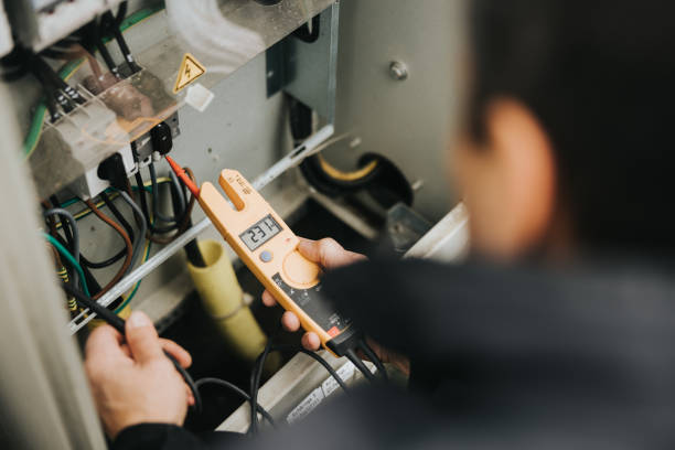 Best Residential Electrician Services  in Lan, MI