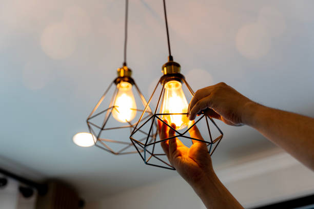 Best Affordable Electrician  in Lan, MI