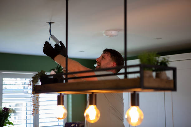 Best Electrical Rewiring Services  in Lan, MI