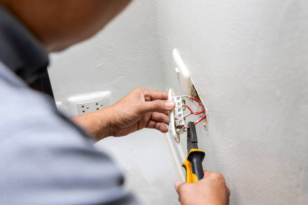 Best Affordable Electrical Installation  in Lan, MI