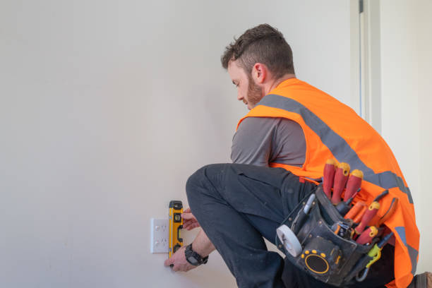 Best Local Electrician Companies  in Lan, MI