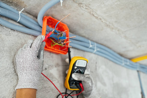 Best Local Electrician Companies  in Lan, MI